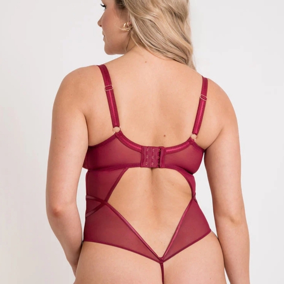 NEW Very Sexy Scantilly Curvy Kate Suspense Sheer Mesh Red Bodysuit Sz 38G Curvy - Picture 6 of 11